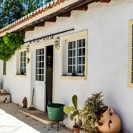 Apartament Quinta Velha By Gt House *